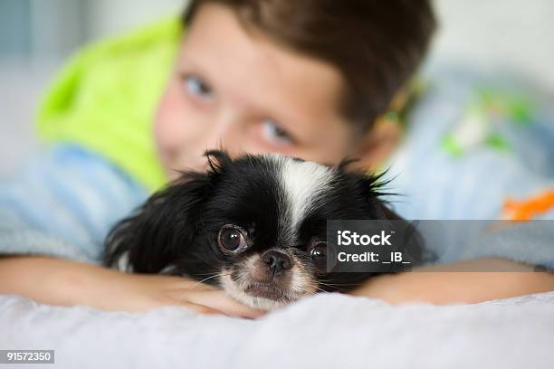 Foto de Menina Estabelece Com Os Pequenos Cachorrinho e mais fotos de stock de Abraçar - Abraçar, Adolescência, Alegria