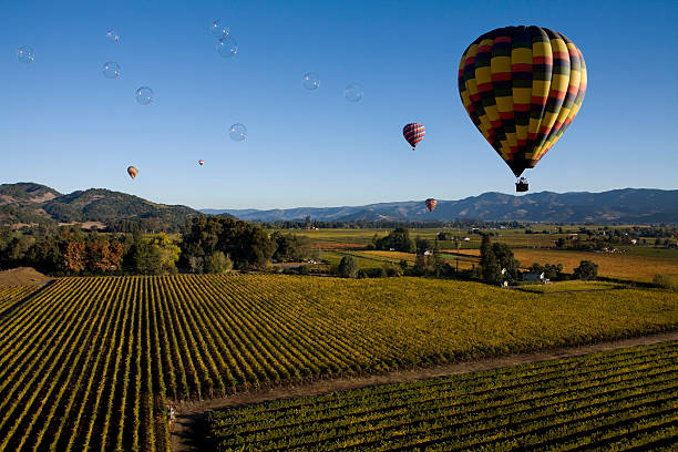 bolhas sobre napa - napa valley - fotografias e filmes do acervo