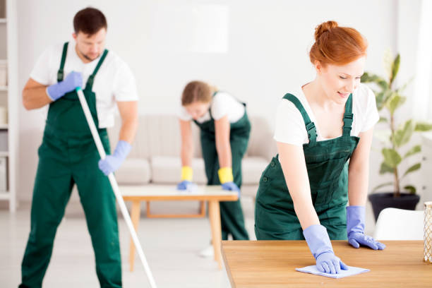 istock Red-haired charwoman cleaning the table 915728714