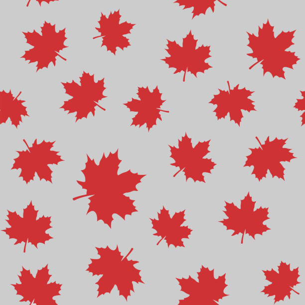 ilustrações, clipart, desenhos animados e ícones de maple folhas padrão sem emendas - maple tree autumn textured leaf