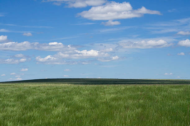 istock Grasslands National Park of Canada 91573272