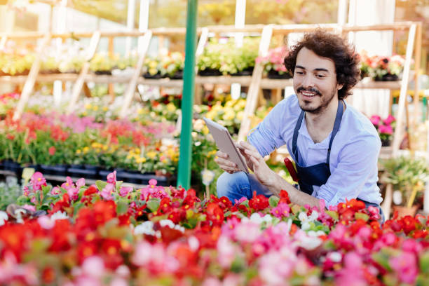 istock Checking the flowers ready for the market 915741338