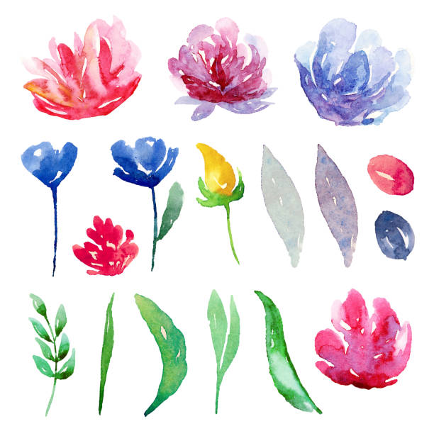 Ilustración de Imágenes Prediseñadas De Vector De Flores Acuarela y más Vectores Libres de Derechos de Azul - Azul, Flor, Blanco - Color - iStock Ilustración de Imágenes Prediseñadas De Vector De Flores Acuarela y más Vectores Libres de Derechos de Azul - Azul, Flor, Blanco - Color - iStock