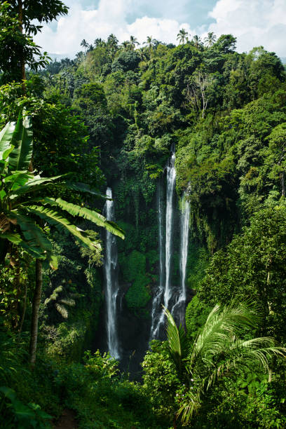 istock Paradise Waterfall, Bali. Nature Beauty Landscape Background 915753230