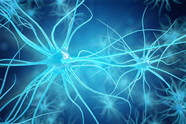 illustrazione concettuale delle cellule neuronali con nodi di legame incandescente. cellule sinapsi e neuronali che inviano segnali chimici elettrici. neurone di neuroni interconnessi con impulsi elettrici. illustrazione 3d - neurotransmission foto e immagini stock