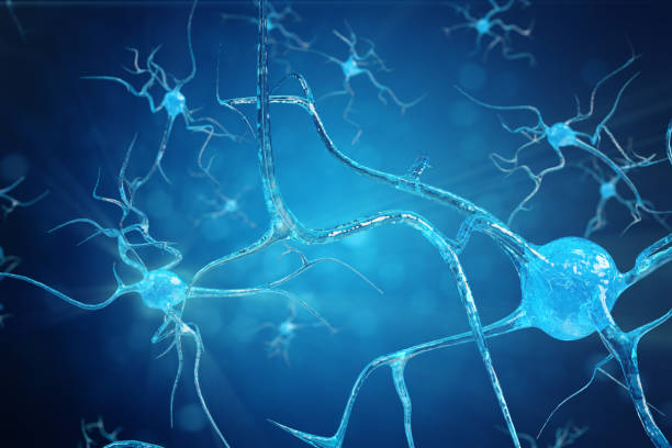 illustrazione concettuale delle cellule neuronali con nodi di legame incandescente. cellule sinapsi e neuronali che inviano segnali chimici elettrici. neurone di neuroni interconnessi con impulsi elettrici. illustrazione 3d - neurotransmission foto e immagini stock