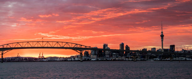 istock Auckland Harbour Bridge Sunrise 915754368