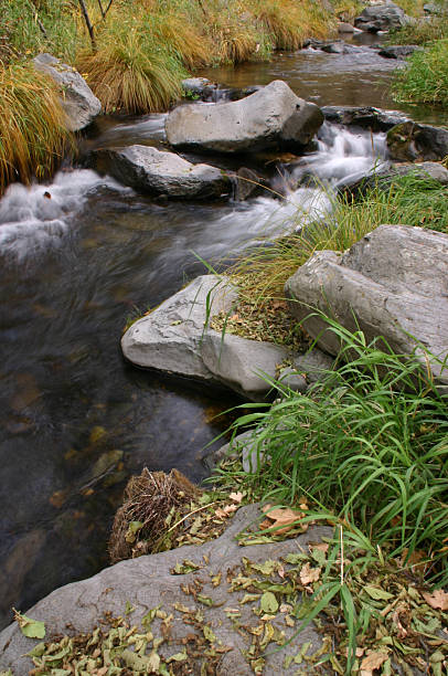 istock Creek and Golden Grass 91575990