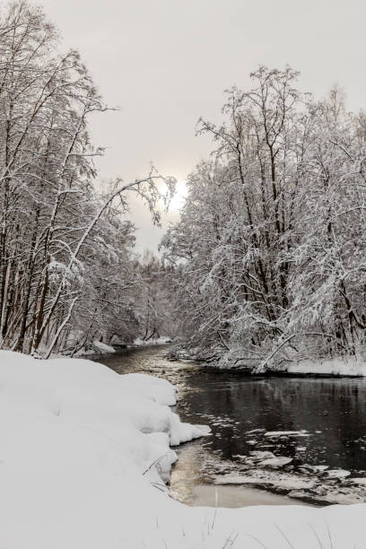 istock Snow covered trees by a river in winter 915760362
