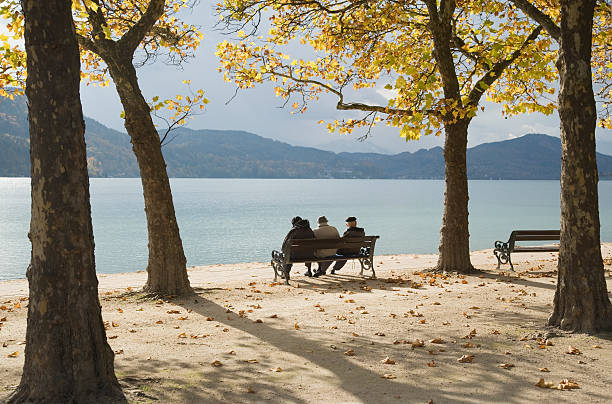istock Senior group on bench under tree canopy at mountain lake 91576065