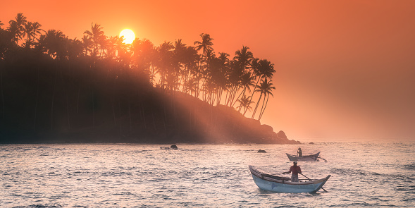 Mirissa, Sri Lanka - 18 January, 2018: Silhouette of coconut palm and sun lights true trees on beach at sunset