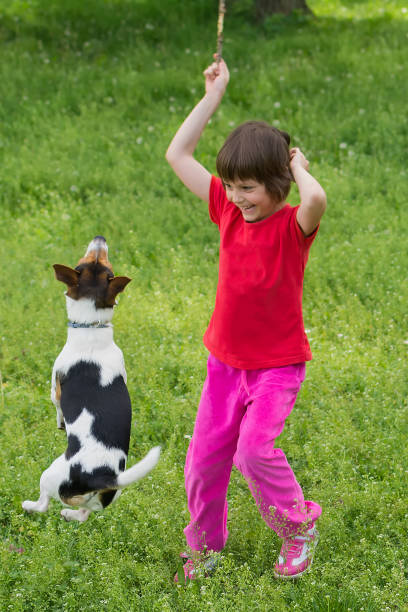 istock Child and dog are playing in grass 915768166