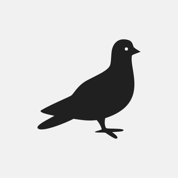 ilustrações de stock, clip art, desenhos animados e ícones de dove icon illustration - common wood pigeon