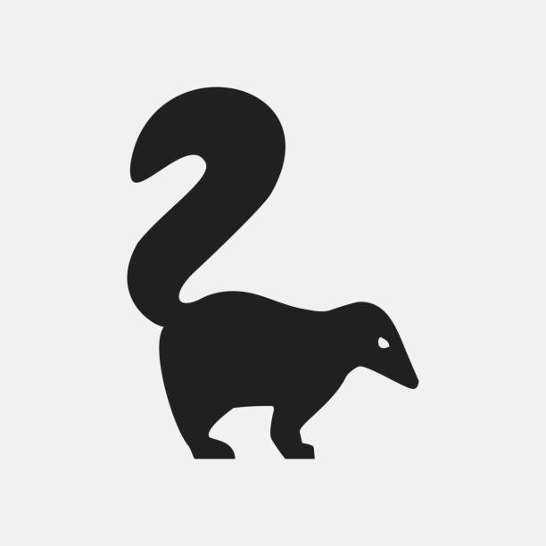 ilustracja ikony skunk - skunk stock illustrations