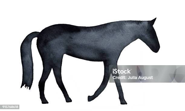 Watercolour Horse Silhouette Stock Illustration - Download Image Now - Animal, Animal Body, Animal Body Part