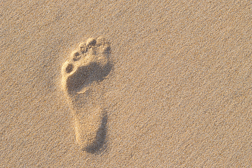 Footprint in the sand at the sea