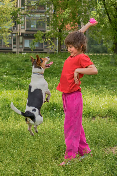 istock Child and dog are playing in grass 915769216
