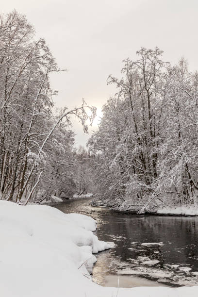 istock Snow covered trees by a river in winter 915770156