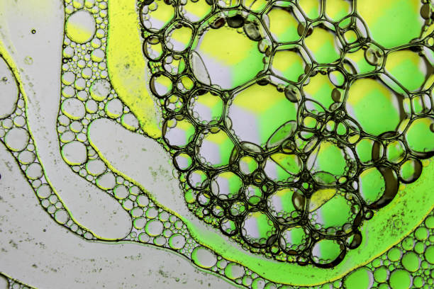 istock Bright and unique oil drops, circles on the water surface. 915770832