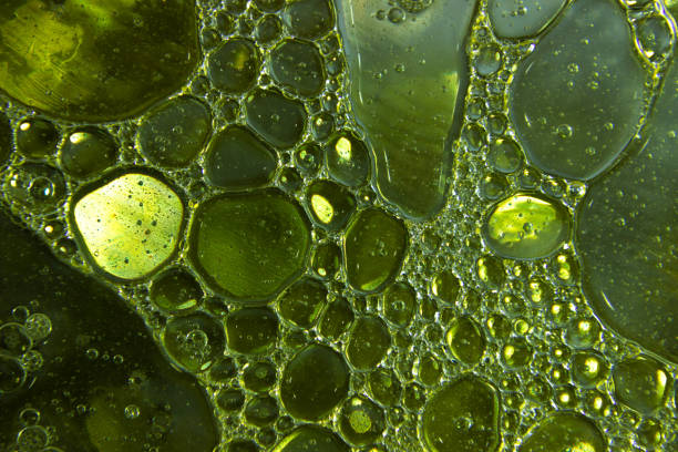 istock Bright and unique oil drops, circles on the water surface. 915773152