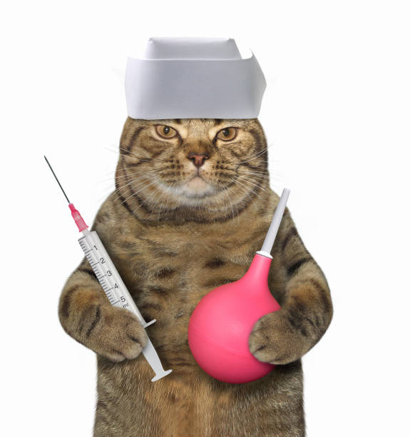 istock Cat doctor with a syringe and a clyster 915779740