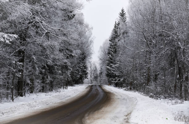 istock winter road in the woods 915780654
