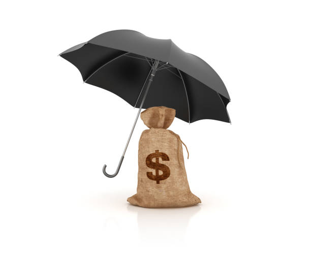 istock Umbrella with Money Dollar Sack - 3D Rendering 915786350