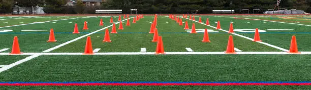 Photo of Turf field with orange cones set up for speed training