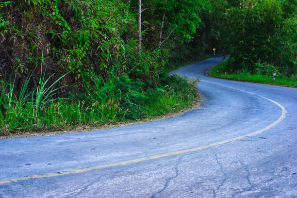 istock Old asphalt road curves into forest with winding road sign 915788708