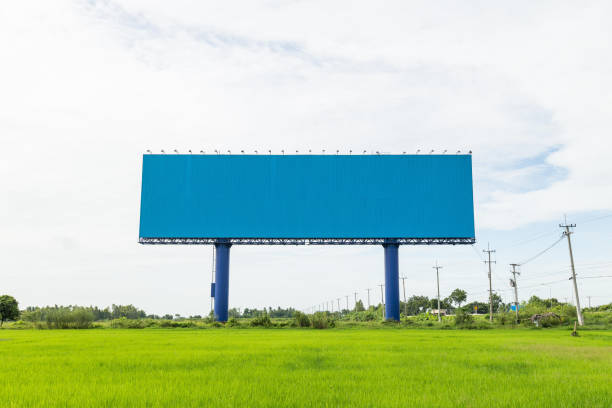 istock Large white advertising billboard in green rice field. for design and advertisement concept 915788740