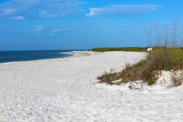 istock Beach Vacation Destination Florida 915788960