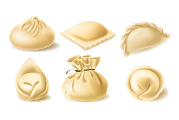 Realistic vector clipart of different dumplings Set of different dumplings, pelmeni, wonton, tortellini, khinkali, manti, ravioli, vector realistic illustration. Traditional asian and european cuisine, dough stuffed with meat or vegetables chinese dumpling stock illustrations