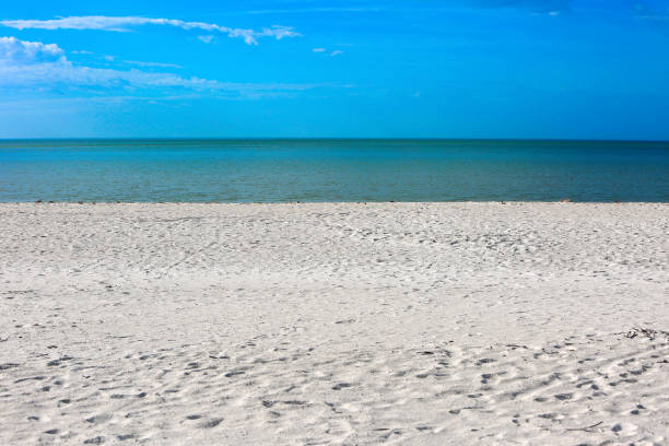 istock Beach Vacation Destination Florida 915792298