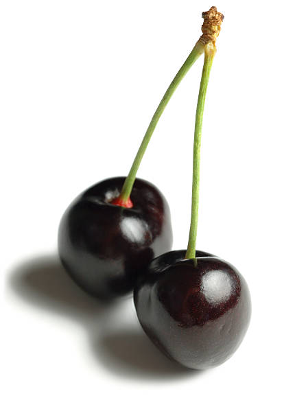 istock Pair of ripe cherries 91579413