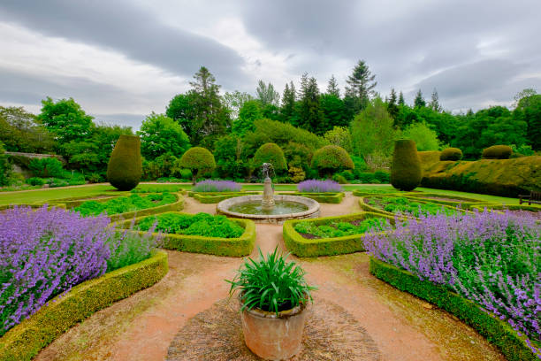 Ornamental garden at the Crathes Castle, a 16th century building surrounded by woodlands and fields in Aberdeenshire, Scotland. Tourists visiting the interiors can admire a significant collection of portraits and original Scottish renaissance painted ceilings.