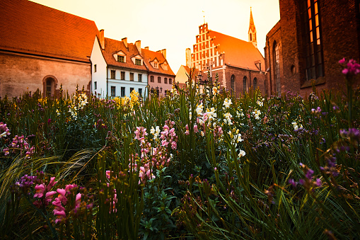 Fowers and colorful buildings with Saint John's Lutheran Church in old Riga town at the Skarnu street in Riga, Latvia.