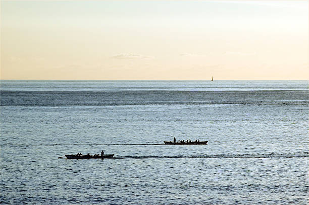 corrida de barcos - rowboat sport rowing team sports race imagens e fotografias de stock