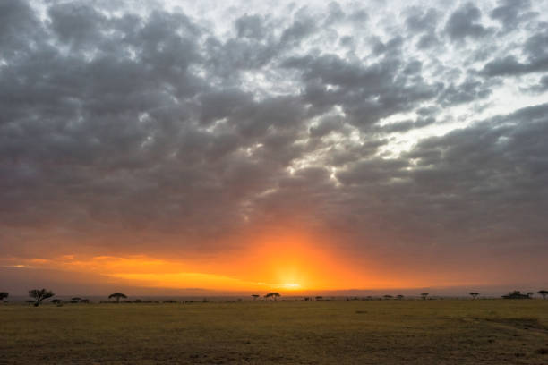 istock Scenery and Wildlife in Tanzania - Sunset time 915813528