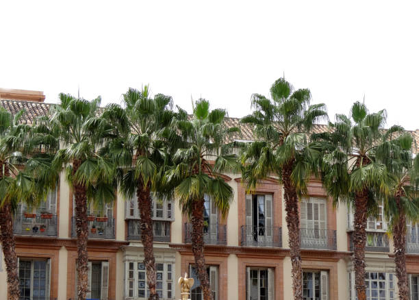 istock a building in malaga 915816060