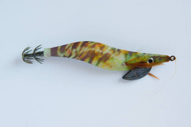 istock Isolated colorful plastic fishing bait on white background, space for text 915816082