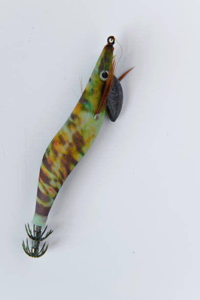 istock Isolated colorful plastic fishing bait on white background, space for text 915816098