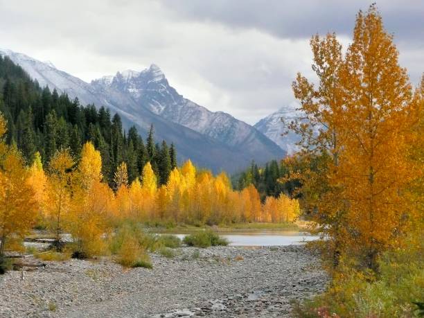 Autumn Colors near Glacier park stock photo