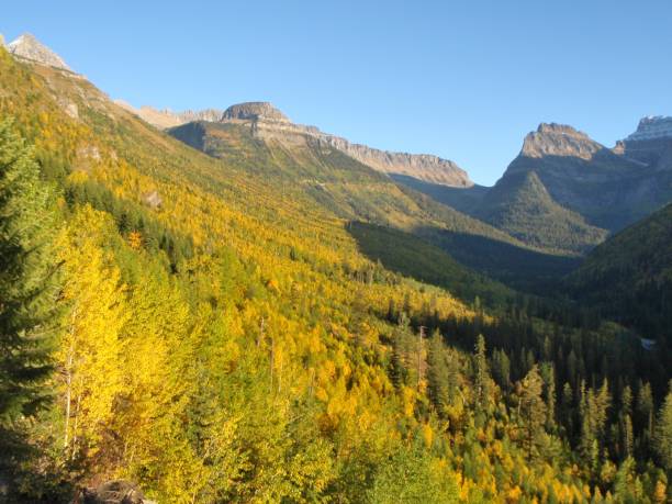 istock Autumn Colors in Glacier park 915818988