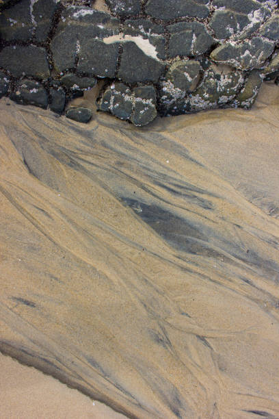 istock Abstract background. Sand and rock in seashells 915826396