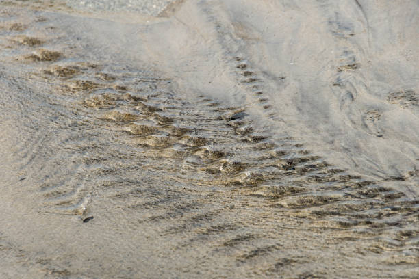 ondulações de água e areia - receeding - fotografias e filmes do acervo