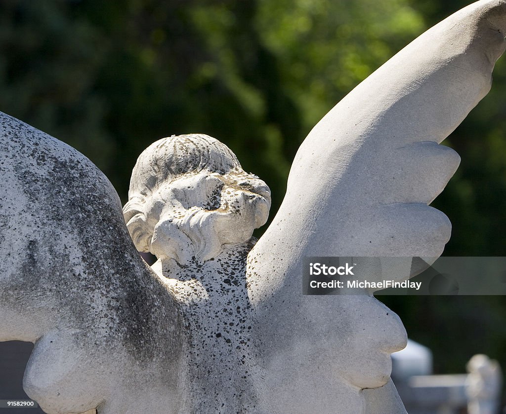 Angel - Foto de stock de Ala de animal libre de derechos