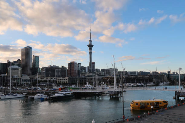 Ovações dos mares no porto de Auckland - foto de acervo