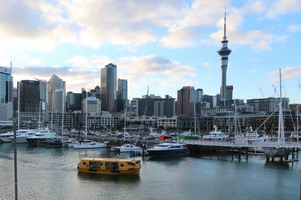 Ovações dos mares no porto de Auckland - foto de acervo