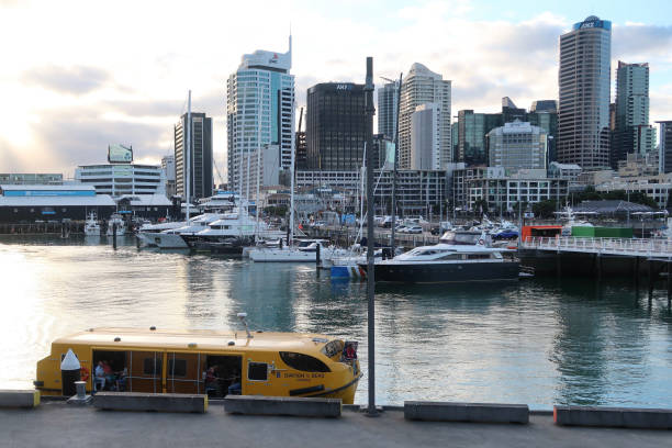 Ovações dos mares no porto de Auckland - foto de acervo