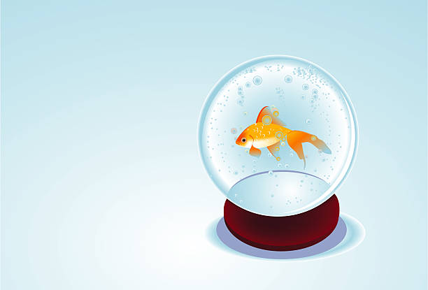 fish in a snowglobe vector art illustration